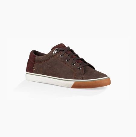 UGG Brock II WP Brown Sneakers for Men (RNOL85726)